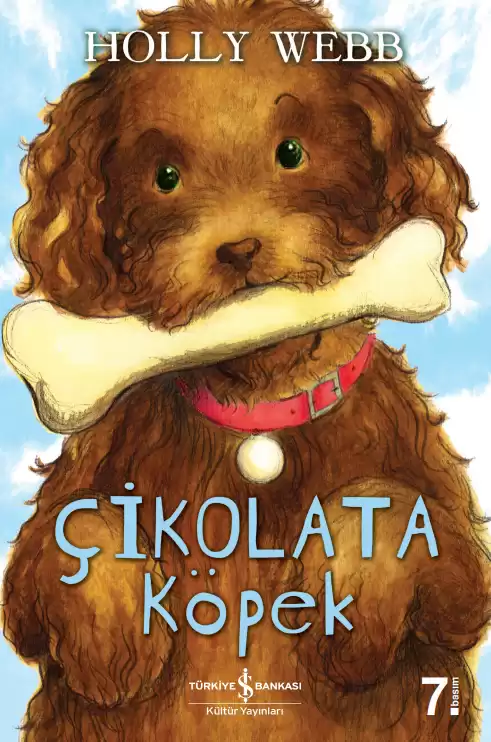 Çikolata Köpek