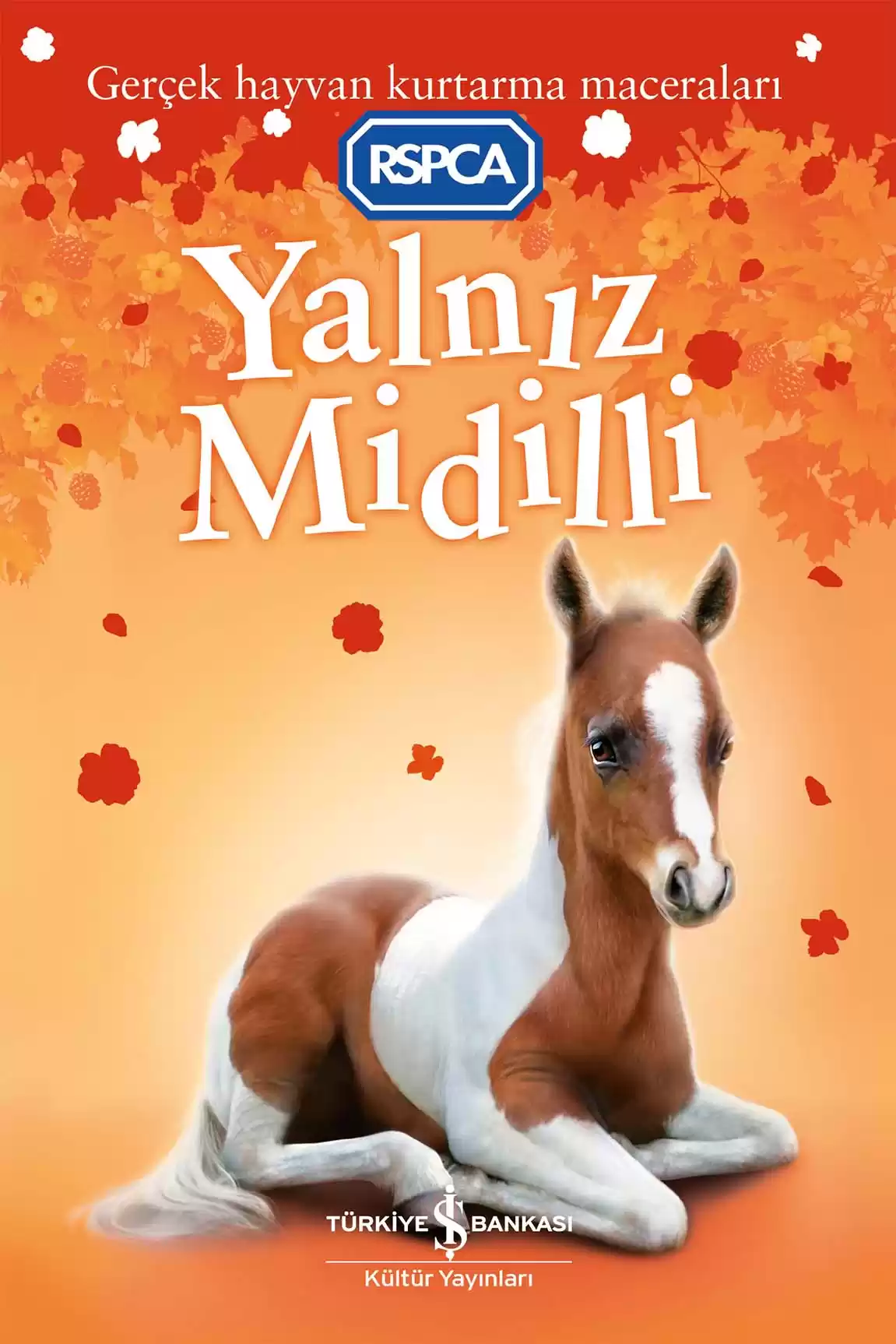 Yalnız Midilli