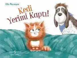 Kedi Yerimi Kaptı!